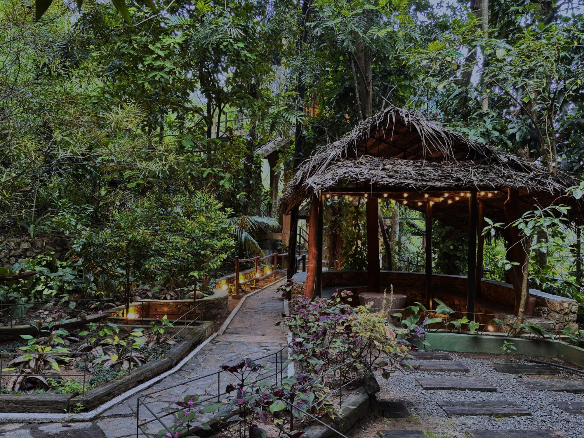 Arana Sri Lanka Eco Lodge And Yoga Center Ella Eksteriør billede